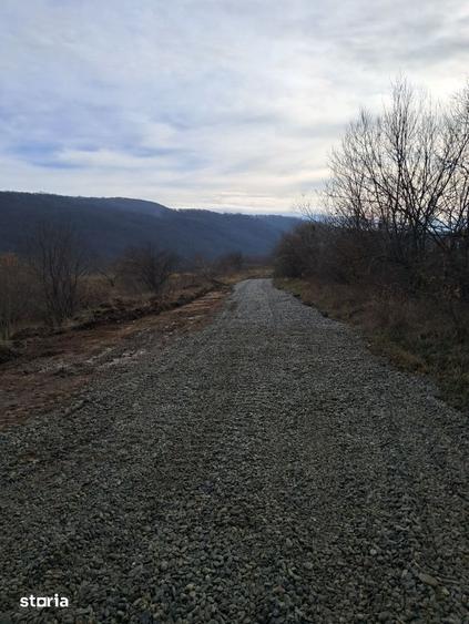 Teren de 500 mp, în Central