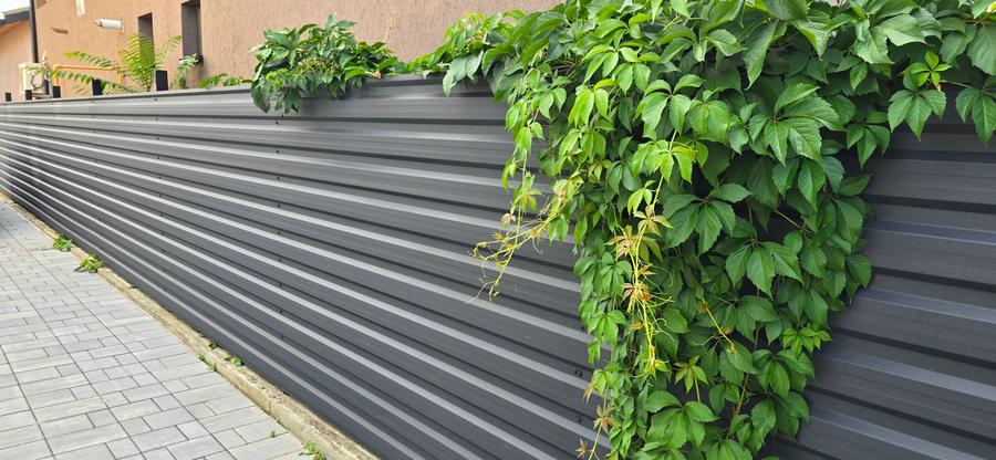 Casă individuală cu 5 camere cu Piscina în Snagov