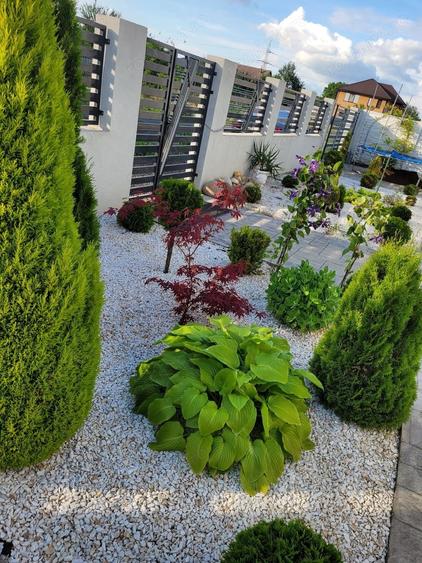 Casă cu 3 camere cu Teren 588 Mp în Freidorf