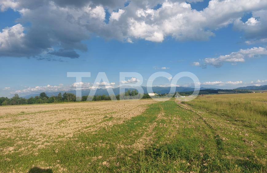 Teren agricol extravilan de 16500 mp, în Cisnădie