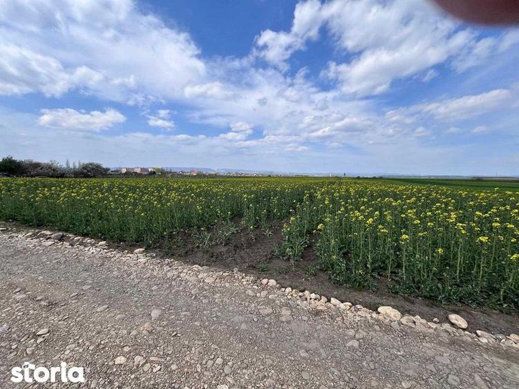 Teren de 3700 mp, în Călărași