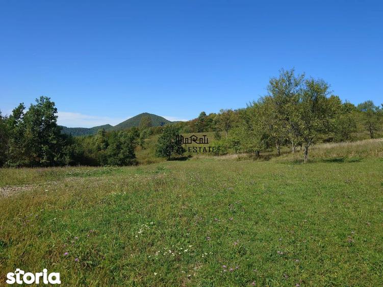 Teren de 8757 mp, în Luncoiu de Jos