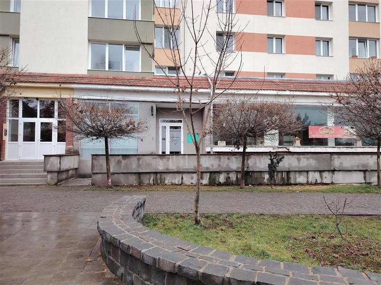 Spațiu comercial, de 96 mp, în Vest