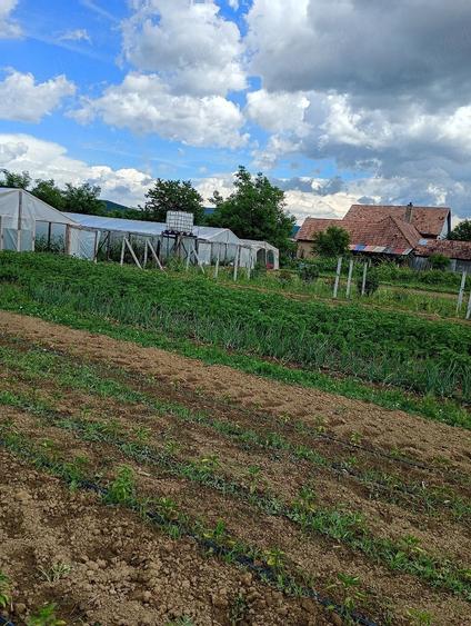 Casă cu Teren 11000 Mp în Sălișca