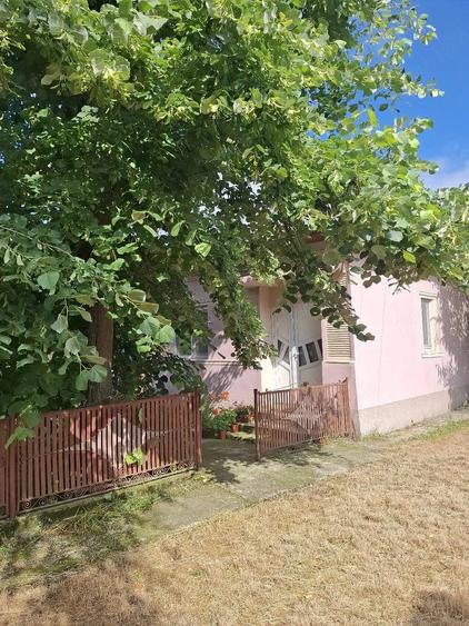 Casă cu Teren 3169 Mp în Olteni