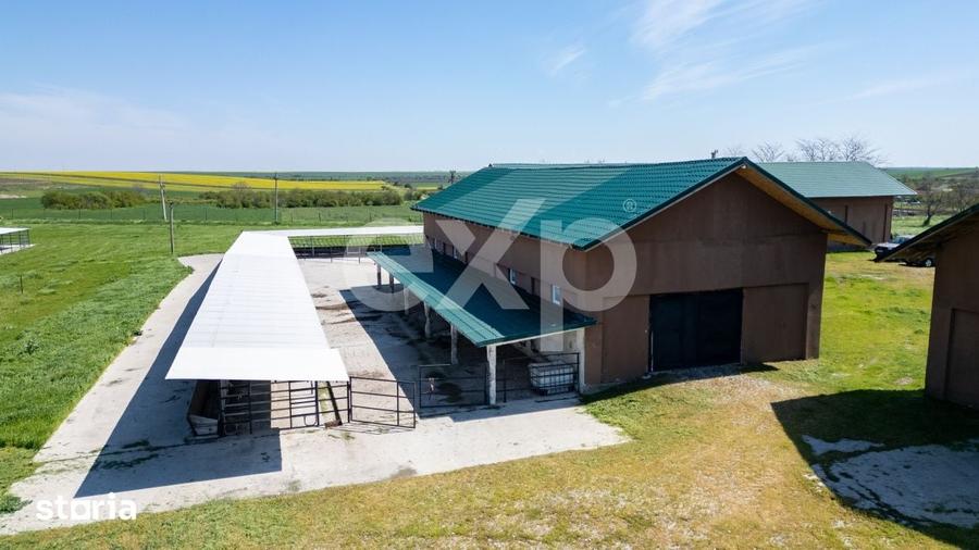 Teren de 105000 mp, în Singureni