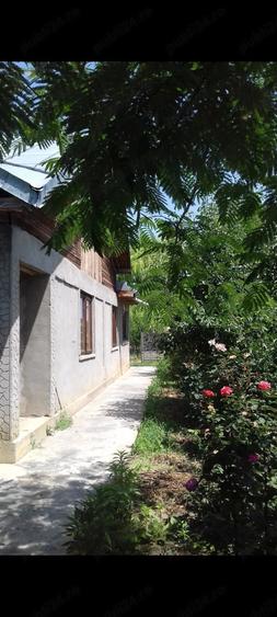 Casă cu 2 camere cu Teren 1650 Mp în Gheorghe Lazăr
