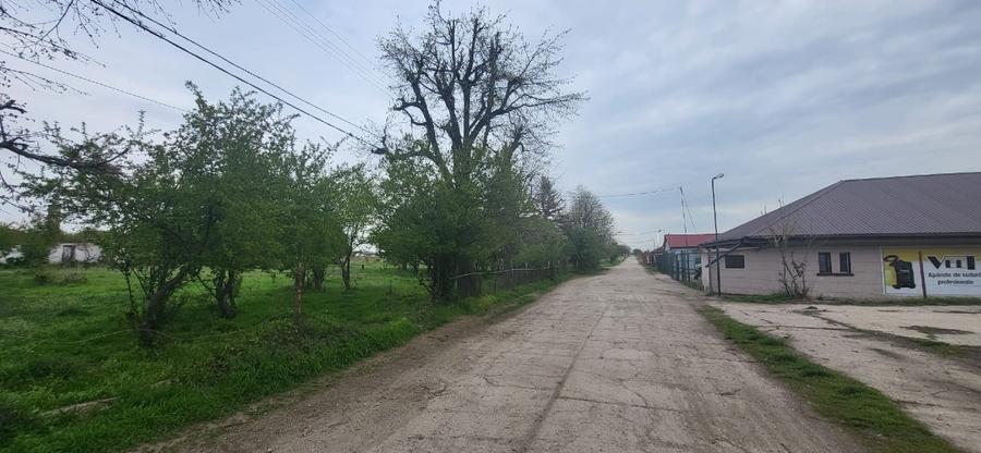 Teren Construcții intravilan de 25800 mp, în Ciorogârla