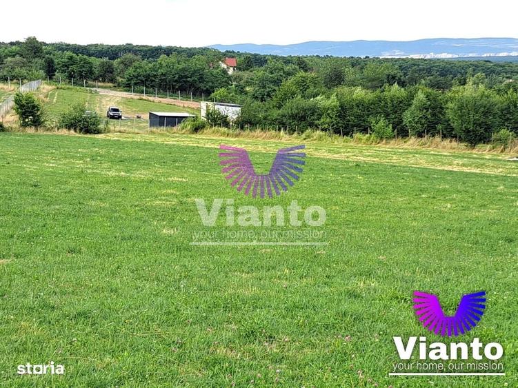 Oportunitate-Teren Extravilan 3100 mp cu vedere Panoramica-Tropinii No - 3