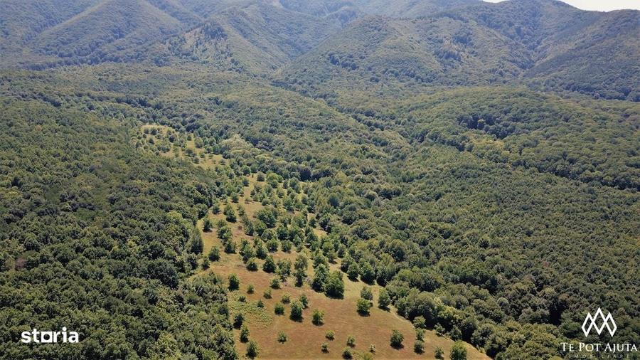Livada de Nuci, 11 Hectare comasate, Cisnadie, Jud. Sibiu - 1