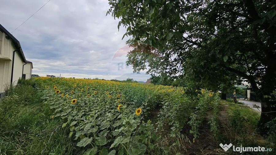 Teren intravilan 2600 mp de vanzare, Ipote?ti- Lisaura,... - 3