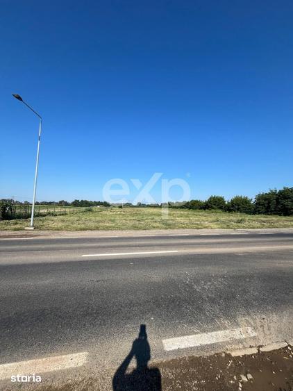 Teren de 15000 mp, în Sud