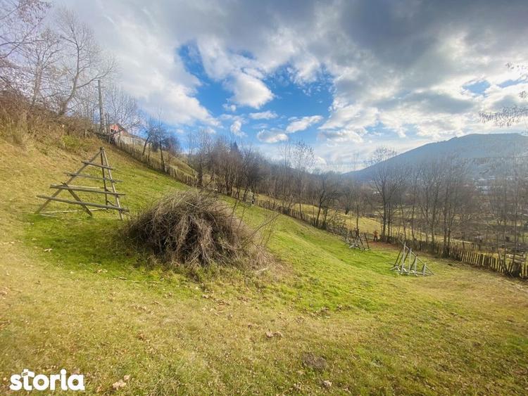 Teren de 1135 mp, în Valea Doftanei