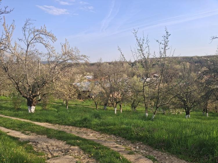 Casă cu 5 camere cu Teren 5950 Mp în Nord