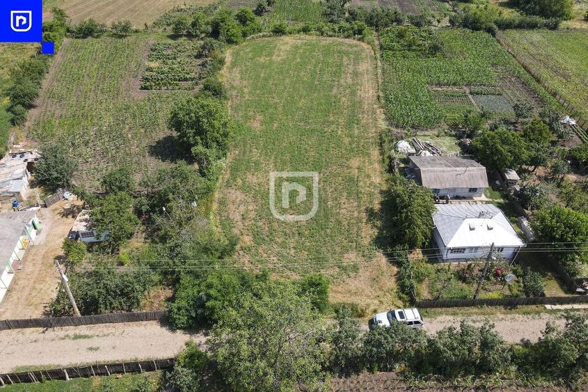 Teren Construcții intravilan de 3285 mp, în Ionășeni (Trușești)