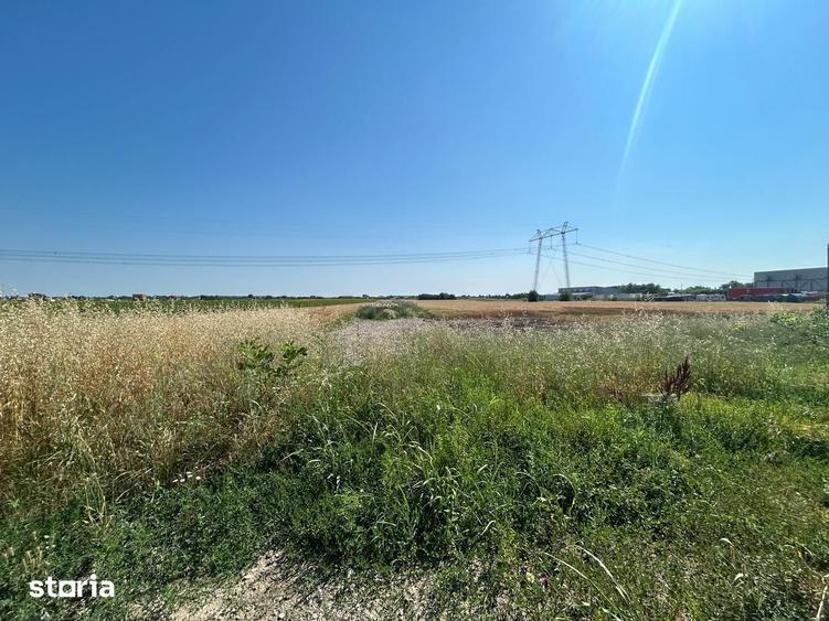 Teren de 11000 mp, în Frumușani
