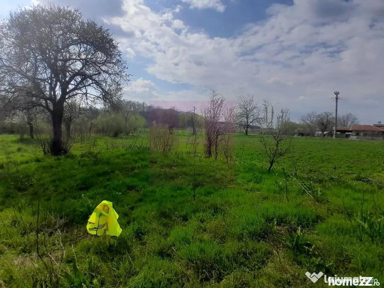Teren în Buturugeni