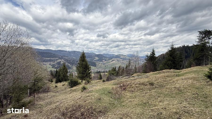 Teren de 10270 mp, în Sadova
