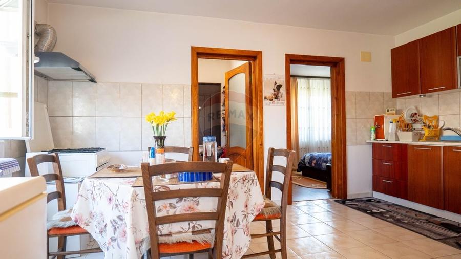 Casă cu 5 camere cu Teren 488 Mp în Bâcu