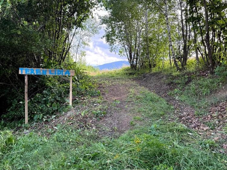 Teren de 11600 mp, în Poiana Mărului
