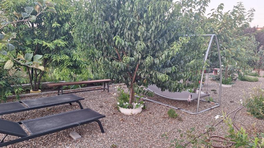 Casă individuală cu 6 camere cu Piscina în Palazu Mare