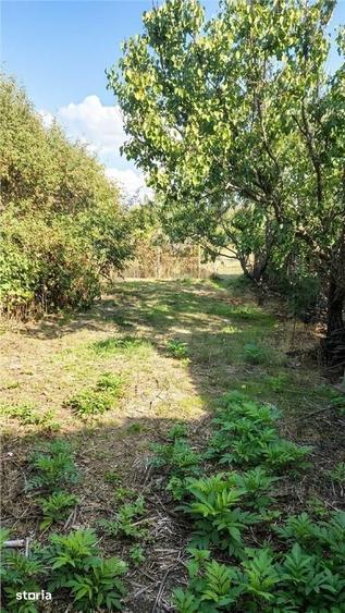 Casă cu 2 camere cu Teren 1597 Mp în Husasău de Tinca
