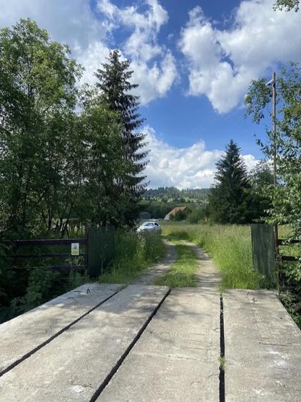 Teren de 10000 mp, în Șaru Dornei