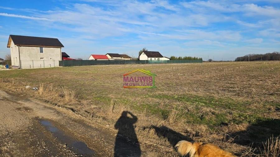 Teren intravilan de 3822 mp, în Cornetu