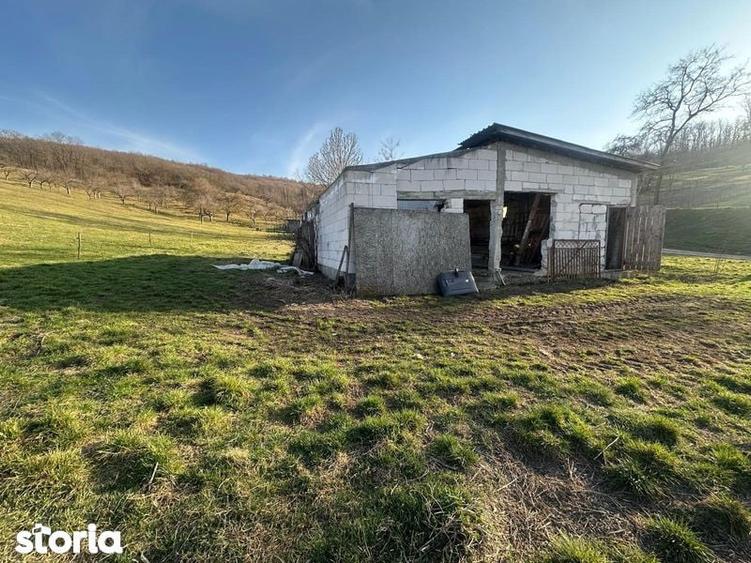 Teren de 2000 mp, în Mociu