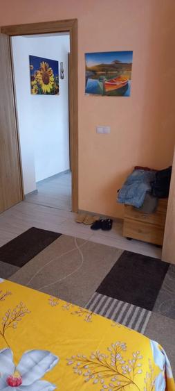 Casă cu 3 camere cu Teren 5000 Mp în Gurasada