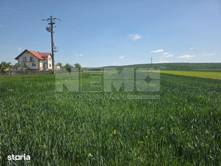 Teren de 2600 mp, în Mitocu Dragomirnei