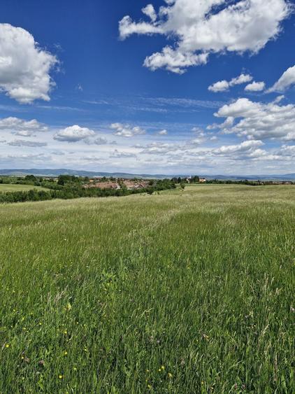 Teren de 14900 mp, în Crizbav