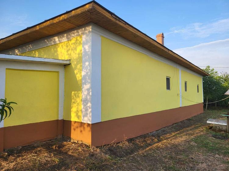 Casă cu 4 camere în Troianul
