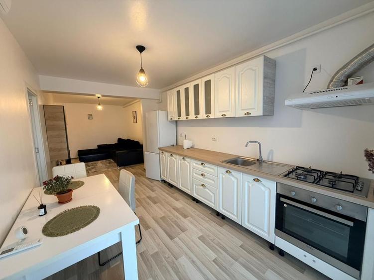 Apartament 2 camere, etaj intermediar, mobilat, zona Corneliu Coposu - 1