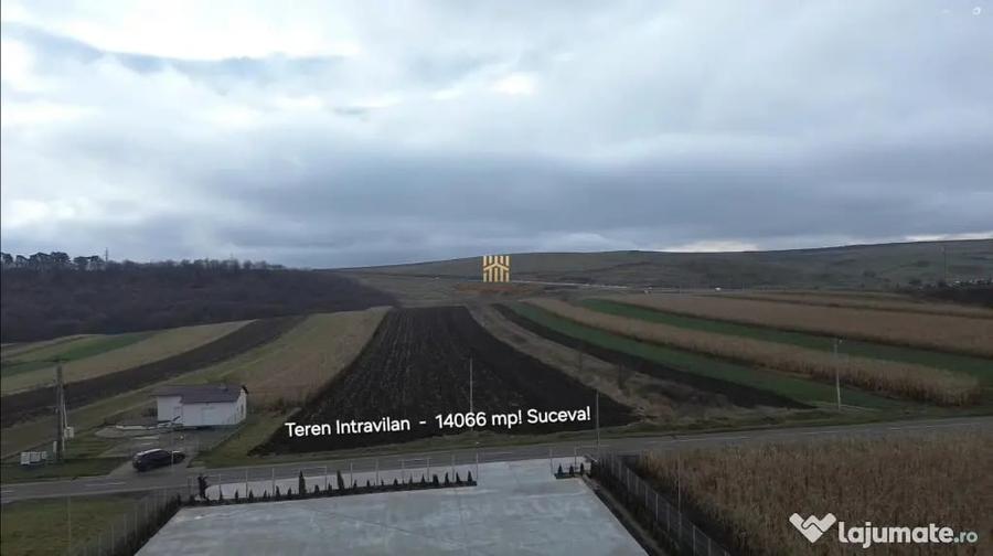 Teren de 14066 mp, în Mihoveni