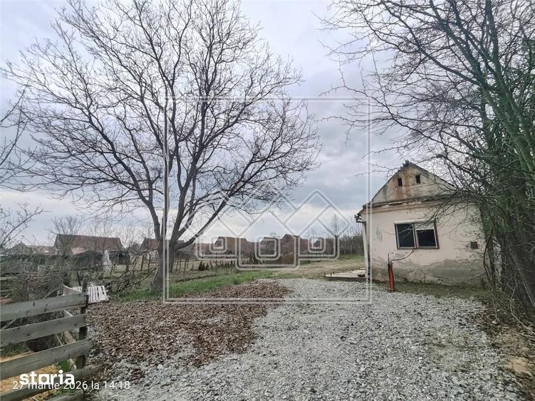 Teren intravilan si casa cu livada in Sacel - pretabil investitii - 7