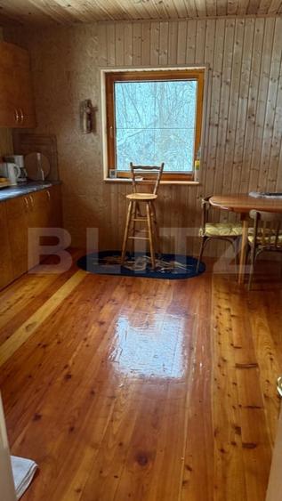 Casă individuală cu 4 camere cu Teren 4302 Mp în Geoagiu