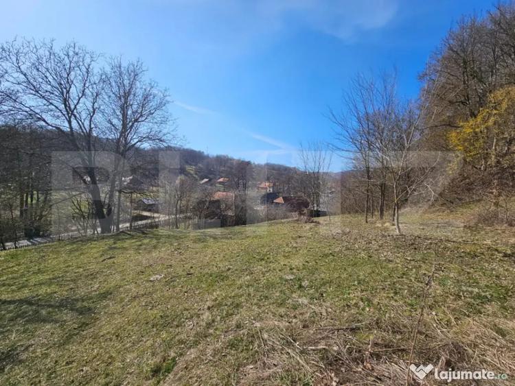 Teren de 6820 mp, în Almașu Mare