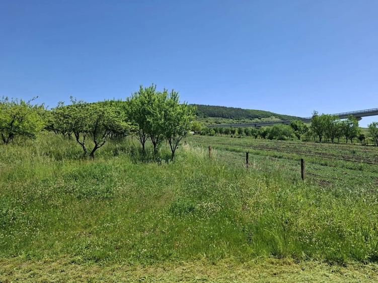 Teren agricol extravilan de 1400 mp, în Vâlcele