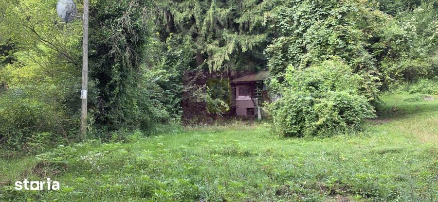 Teren de 15000 mp, în Telega