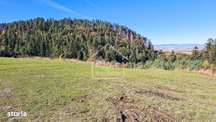 Teren de 3000 mp, în Poiana Angelescu