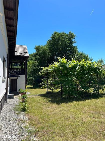 Casă cu 4 camere cu Teren 5146 Mp în Sălătrucu