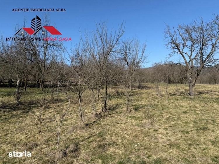 Casa si anexe cu un teren de 7701 mp de vanzare in Stauini Jud Alba - 4