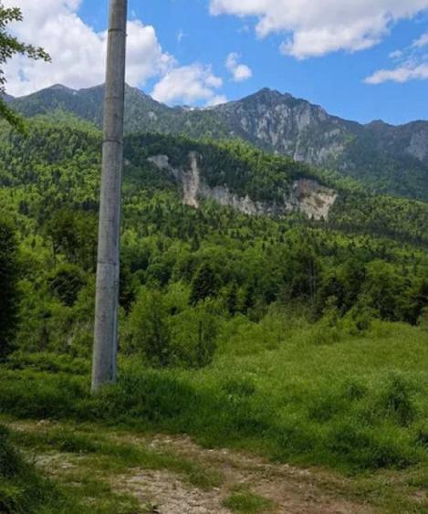 Teren de 1724 mp, în Nord