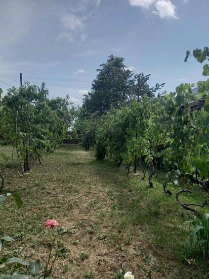 Teren de 4400 mp, în Lipănești