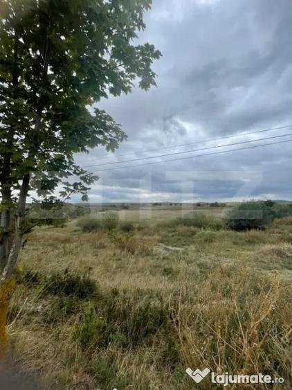 Teren de vanzare, 4.300 mp, zona Cornesti - Mihai Viteazu - Cornesti (Mihai Viteazu) (Cluj) - 7