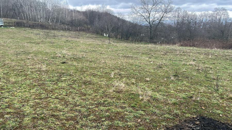 Teren Construcții intravilan de 2311 mp, în Vlădești