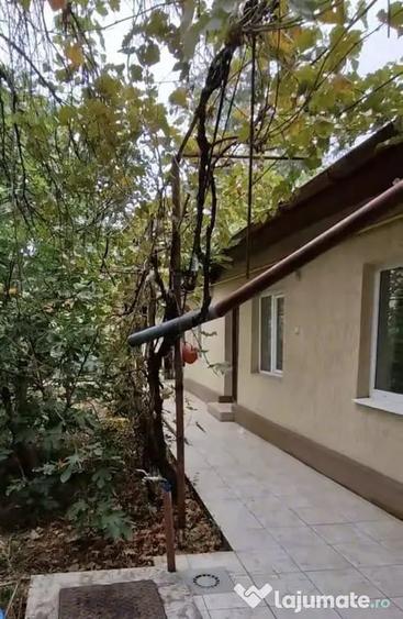 Casă cu 4 camere cu Teren 243 Mp în Alexandriei