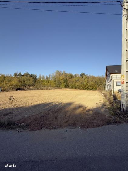 Teren de 706 mp, în Albota