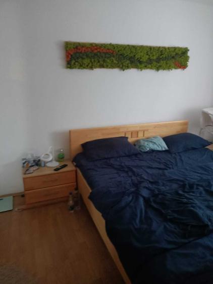 Apartament cu 2 camere semidecomandat în Micălaca